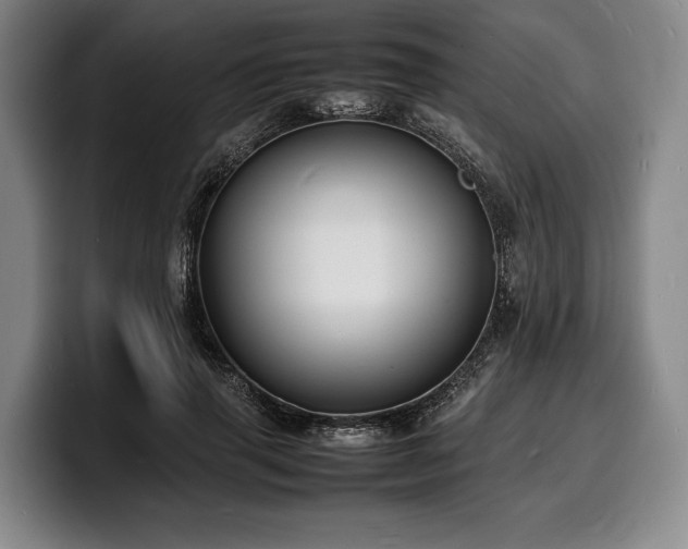 X0000100310645200806051457