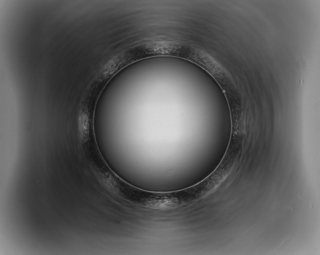 X0000100310646200806051457