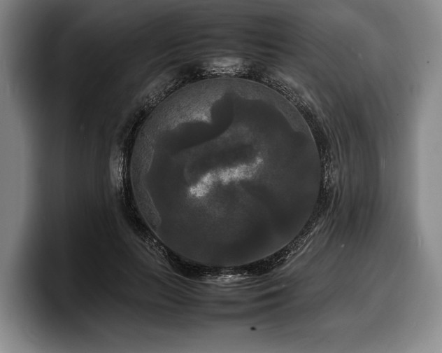 X0000100310647200806051457