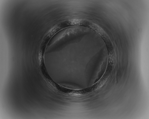 X0000100310648200806051457