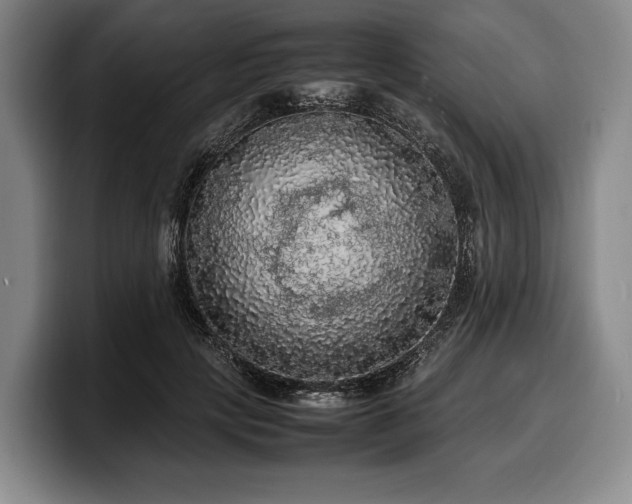 X0000100310649200806051457