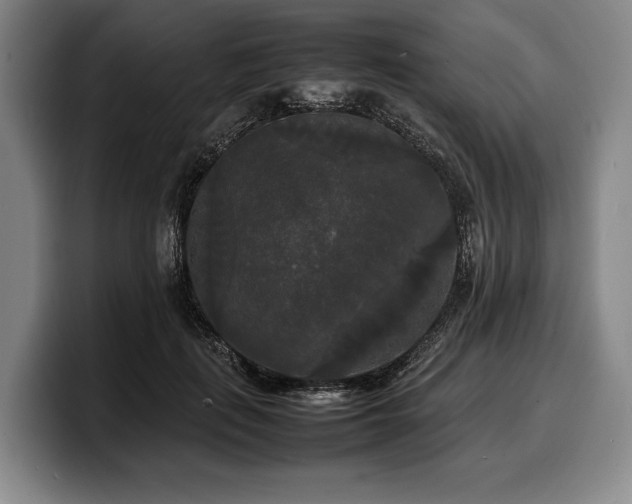 X0000100310651200806051457