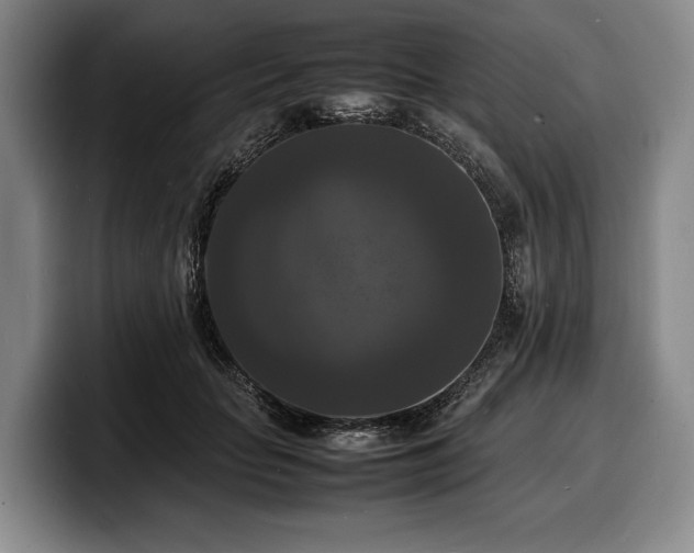 X0000100310653200806051457