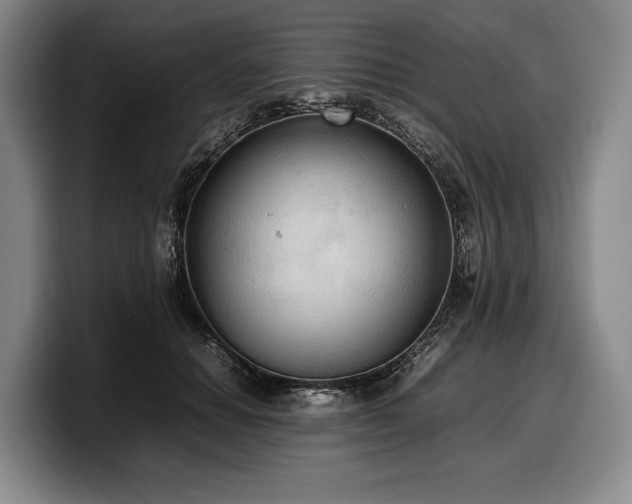 X0000100310654200806051457