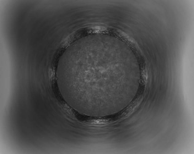 X0000100310657200806051457