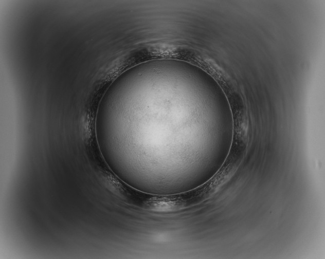 X0000100310658200806051457