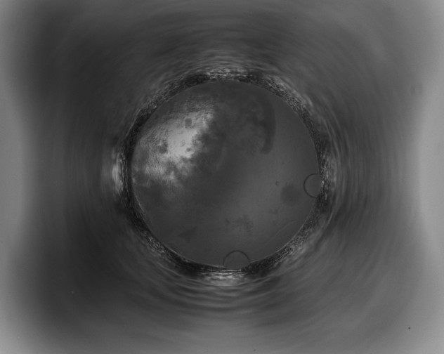 X0000100310659200806051457