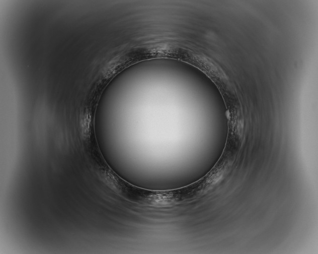 X0000100310660200806051457