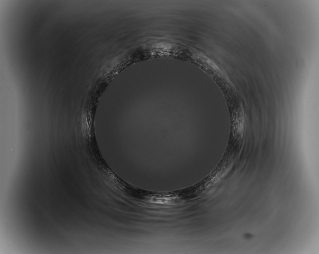 X0000100310661200806051457