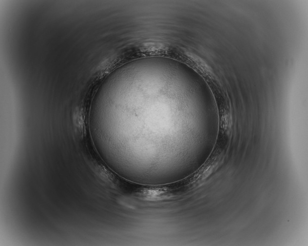 X0000100310662200806051457