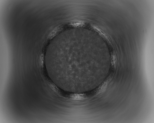 X0000100310664200806051457