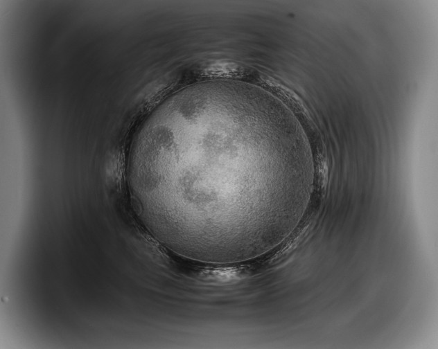 X0000100310665200806051457