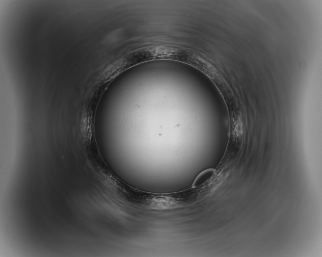 X0000100310666200806051457