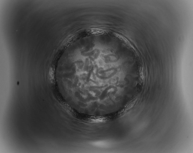 X0000100310667200806051457