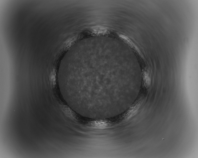 X0000100310668200806051457