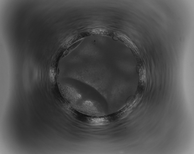 X0000100310669200806051457
