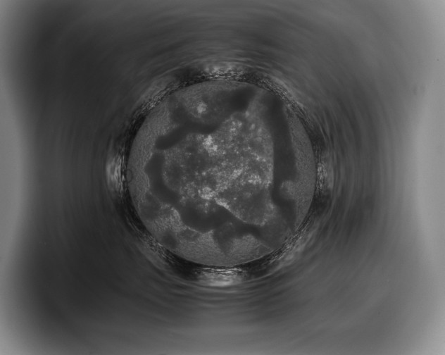 X0000100310671200806051457