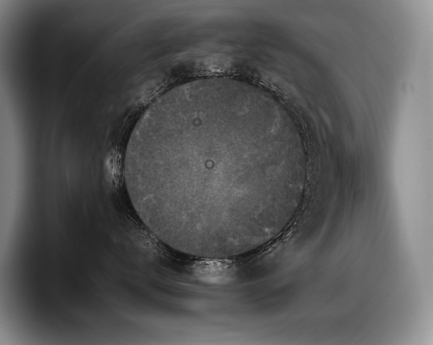 X0000100310672200806051457