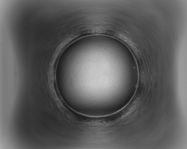 X0000100310673200806051456