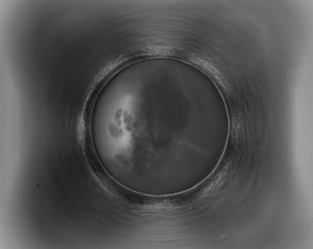 X0000100310674200806051456