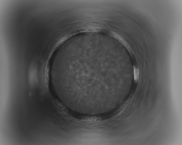 X0000100310675200806051456