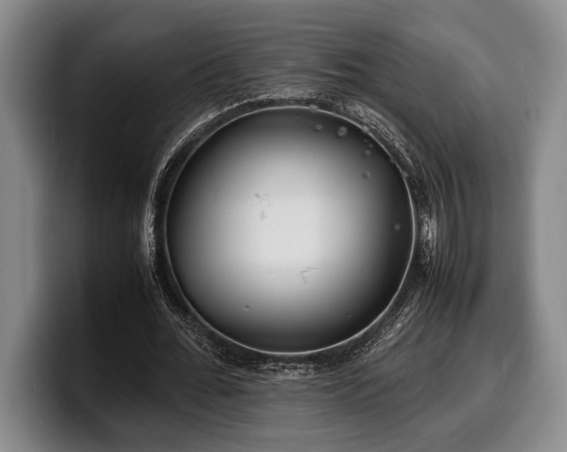 X0000100310676200806051456