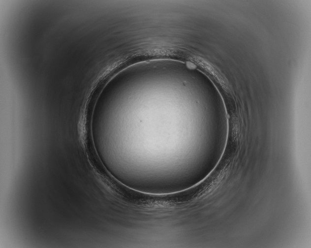 X0000100310677200806051456