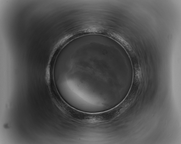 X0000100310678200806051456