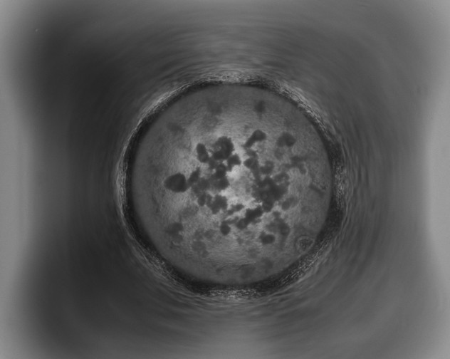 X0000100310679200806051456