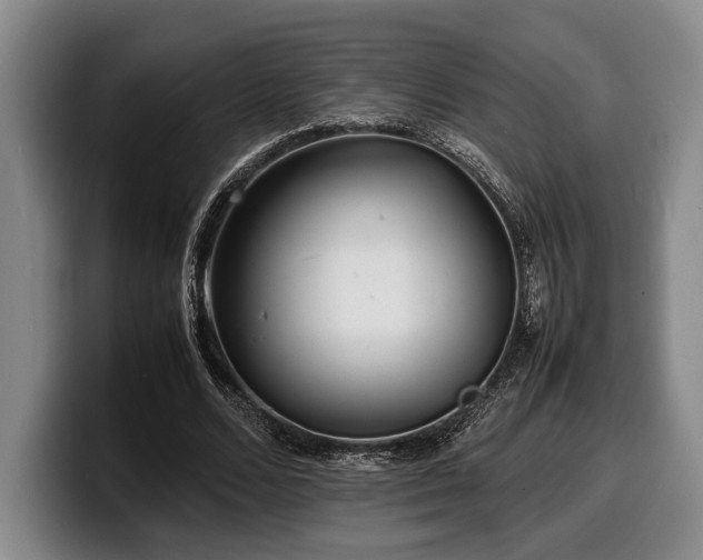 X0000100310680200806051456