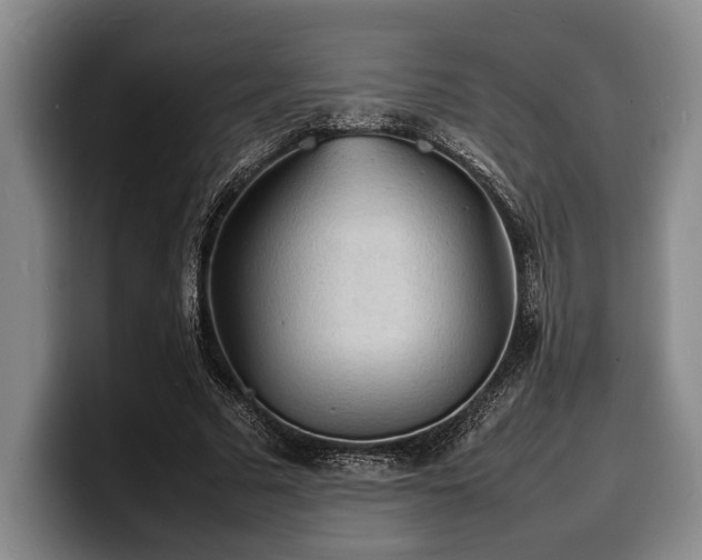 X0000100310681200806051456