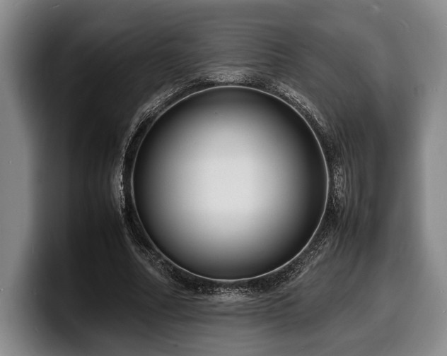 X0000100310682200806051456