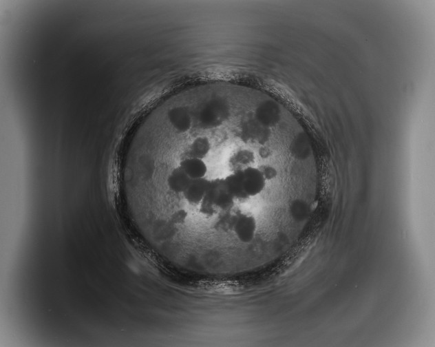 X0000100310683200806051456