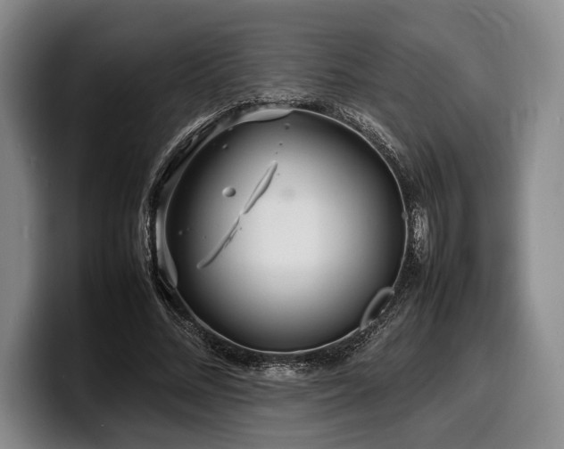 X0000100310684200806051456