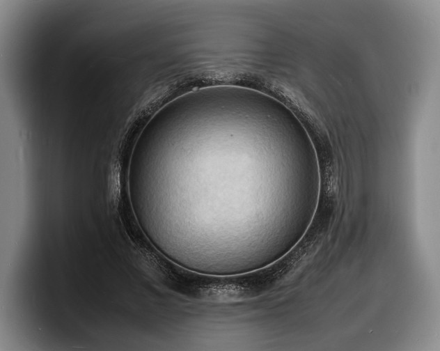 X0000100310685200806051456