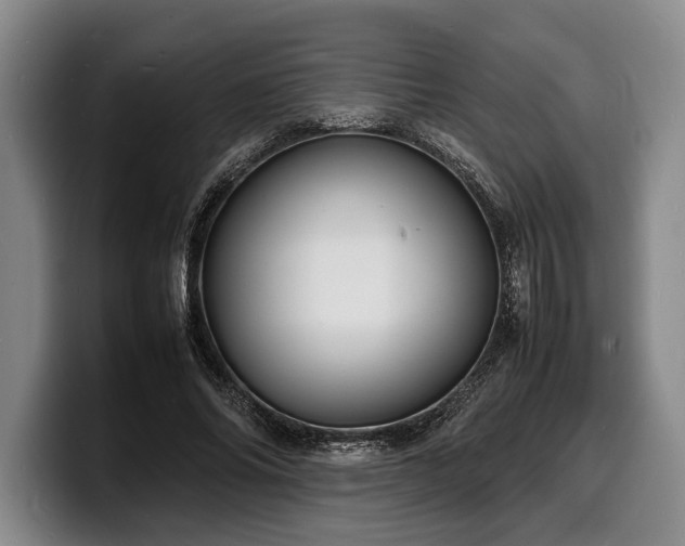 X0000100310686200806051456