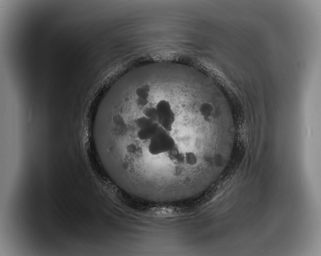 X0000100310687200806051456