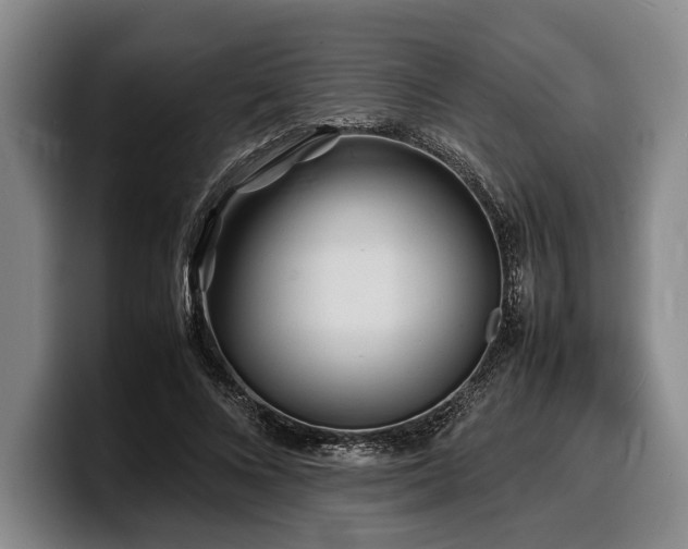 X0000100310688200806051456