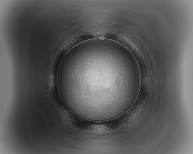 X0000100310689200806051456