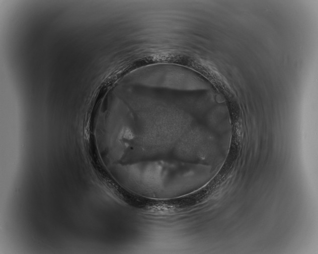 X0000100310691200806051456