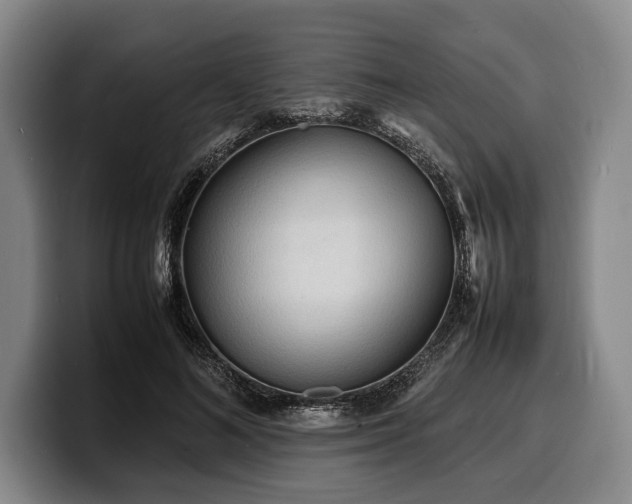 X0000100310692200806051456