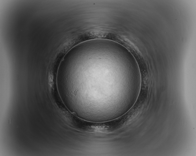 X0000100310693200806051456
