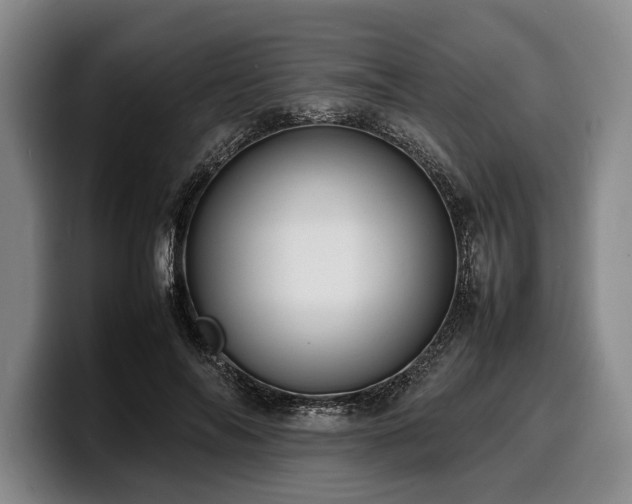 X0000100310694200806051456