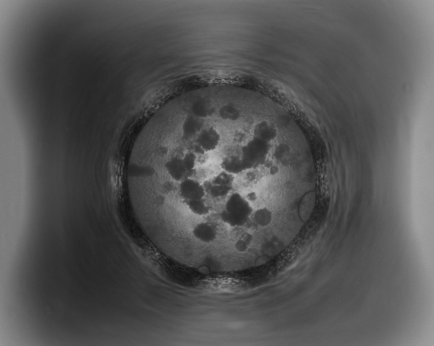 X0000100310695200806051456