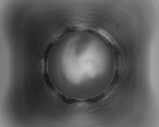X0000100310696200806051456
