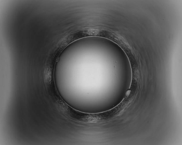 X0000100310697200806051456
