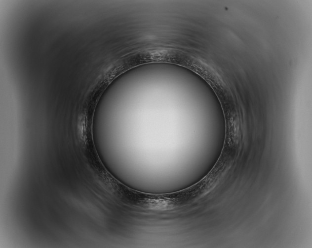 X0000100310698200806051456