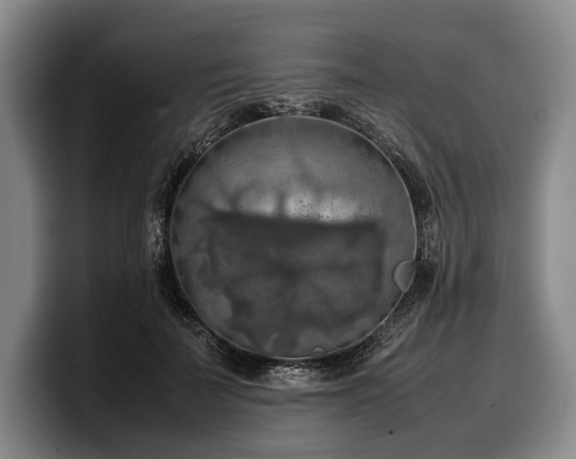 X0000100310699200806051456