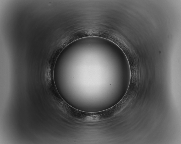 X0000100310700200806051456