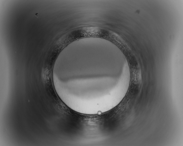 X0000100310701200806051456